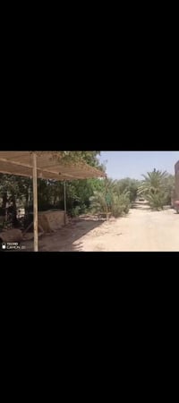 شارع الصب • اقل دونم • 3 بيوت