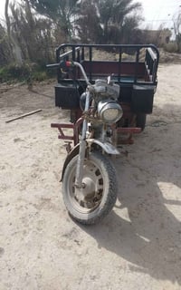 ستوته • أم تي ار • القاسم