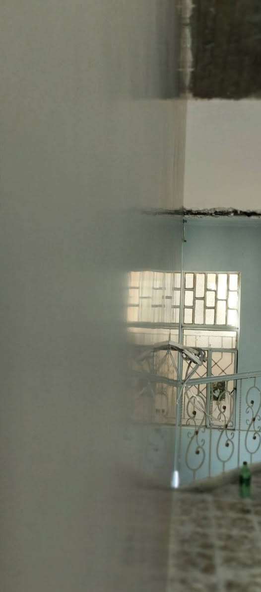 خلفه واجهيات تطعيم
خلفه جص وبياض+سمنت وبياض
سمنت سقل +جراره
***********
