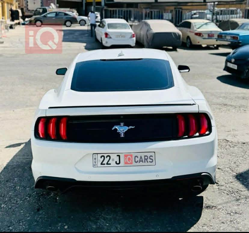 موستانگ ٢٠٢٠  فول مواسه فات يادى ٥٠ ساله كيچ ئه ليكترؤنى  پريميوم 
كوشين سارد و گه رم  خه زن  ٣ پارچه و نيو  سبوغ هه موو شتيكى به شه رت يه ك دينار مه سروفى نيه أربيل, العراق


**إذا كنت صاحب هذا الإعلان وتريد حذفه لأي سبب، رجاءا أرسل رسالة إلى الدعم الفني**