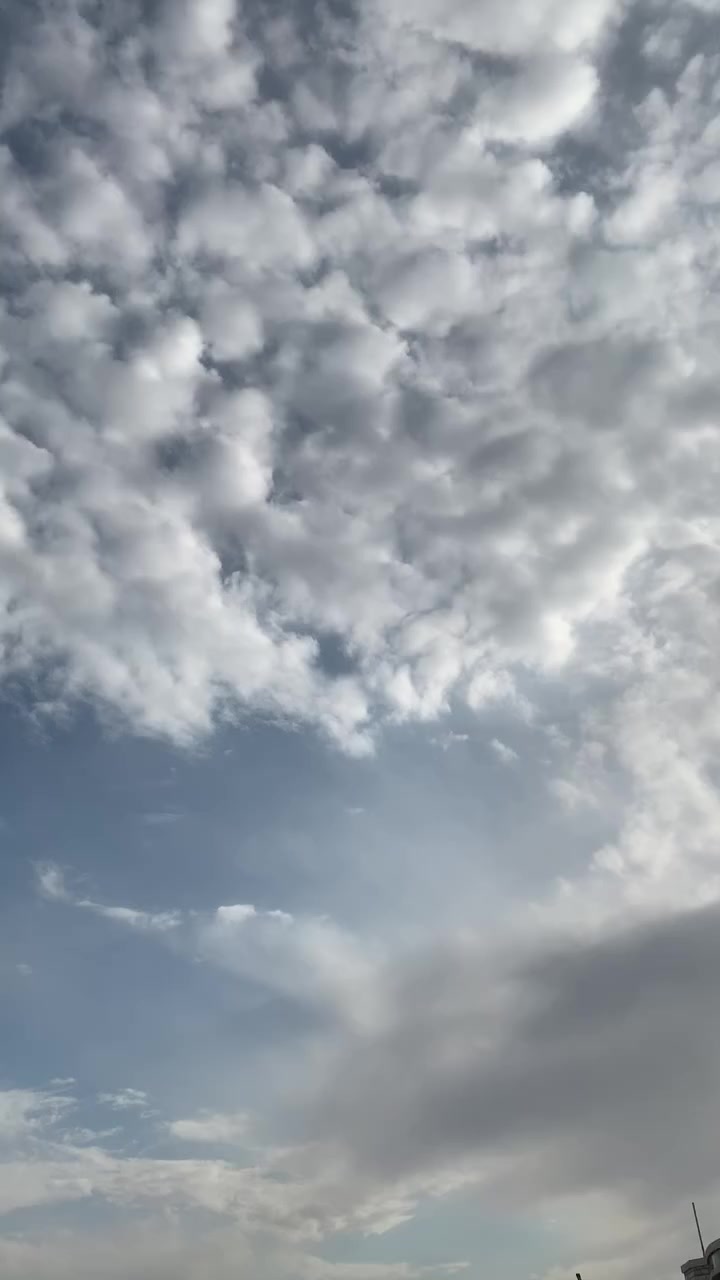 البيه او مروس بقل سعر ٤٢
***********
