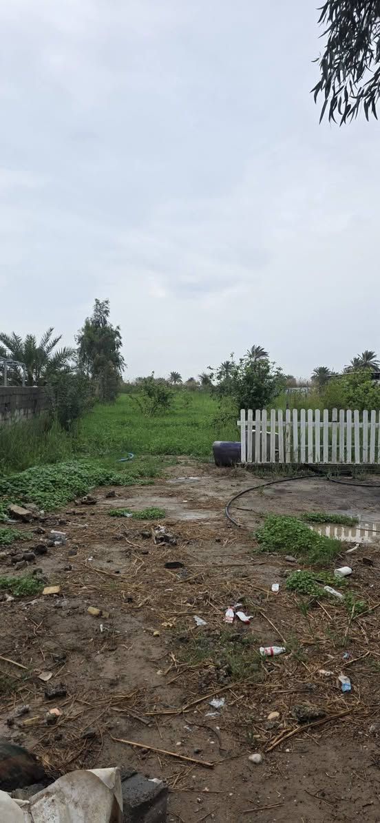 سلام عليكم ارض للبيع المساحة دونم ملك صرف المدائن منطقة التويثة خدمات كاملة ماء أسألة قرب شارع سيد علي للستفسار اكثر اتصل ***********
