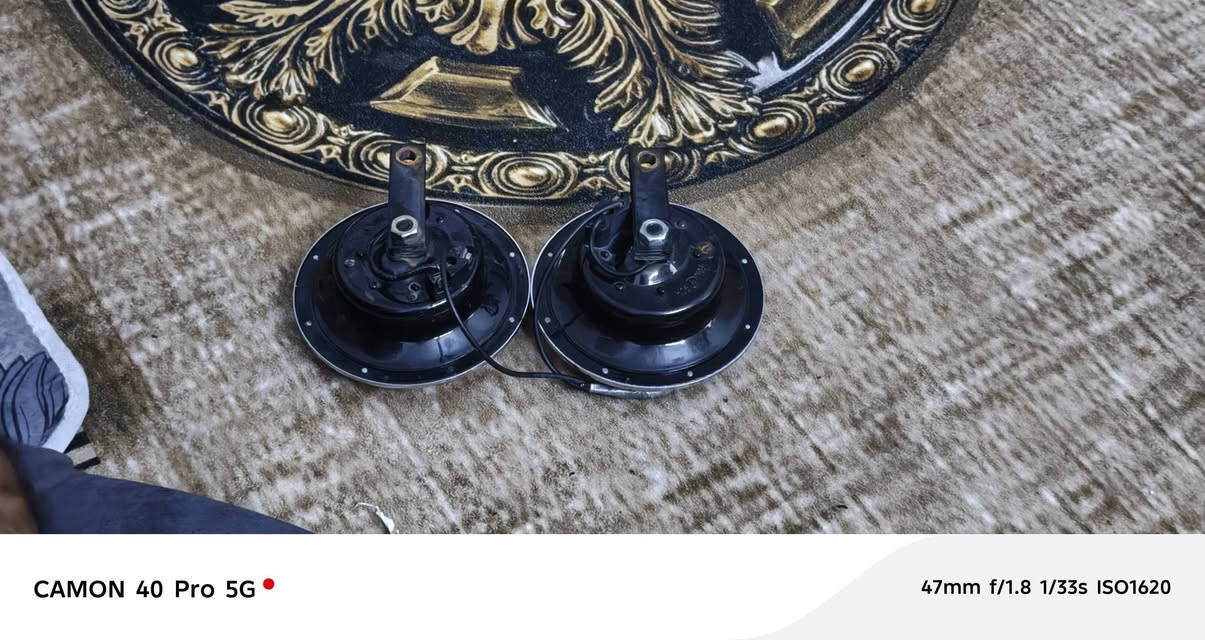 السلام عليكم هورنات ايراني دكه حلوه واسطاني على ناعمه 180وبيهن مجال بسيط تعال شوف وتدلل ***********
