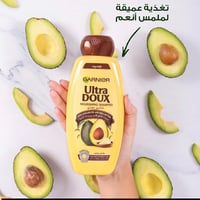 شامبو • غارنييه