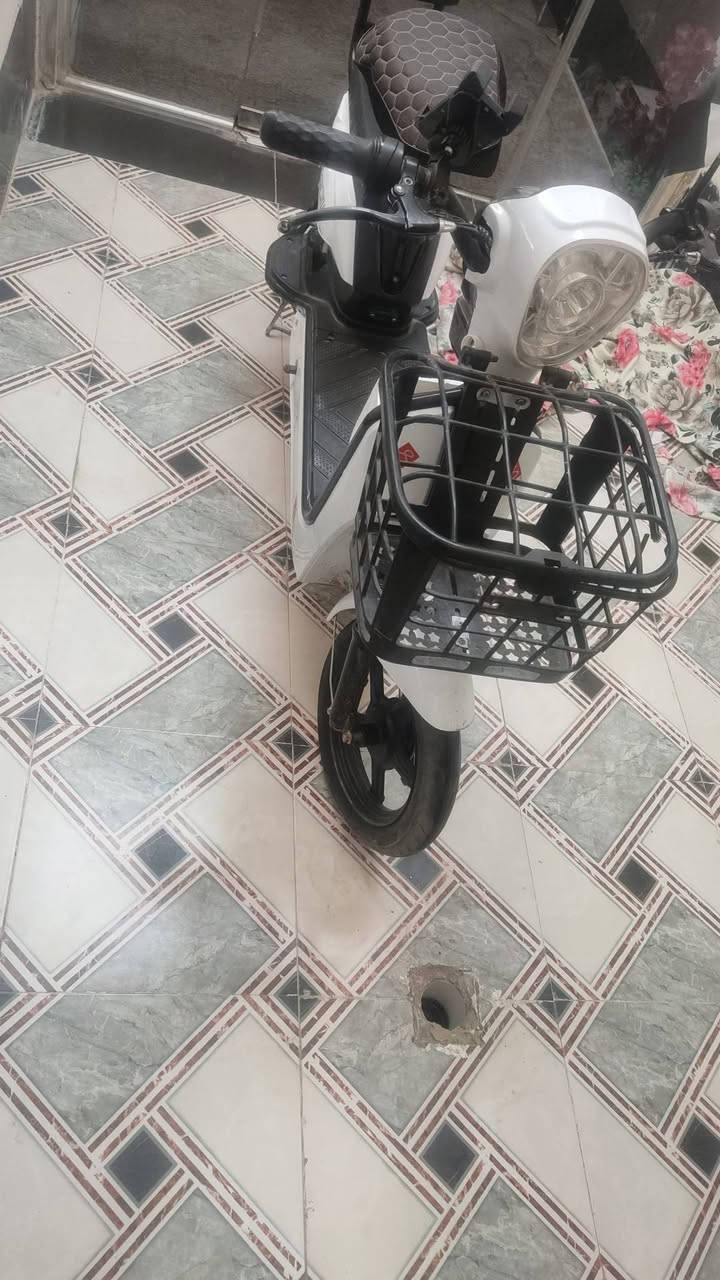 السلام عليكم
للبيع 

عدي بايسكل شحن حجم 14 موديل 24

:بصمات 2+سويجات2+قفل تاير 
تايراته جدد 
البايسكل جديد صارلي 7اشهر من جبته 
ما بي اي نقص فقط شحن بطاريات 
السعر قيم واخذ 
مكاني بابل حي الشهداء


**إذا كنت صاحب هذا الإعلان وتريد حذفه لأي سبب، رجاءا أرسل رسالة إلى الدعم الفني**