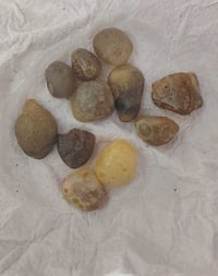 حجر زوعه وسليماني طبيعي اصلي شلعه وحده 100 الف وتوصيل مجاني 0780900500...