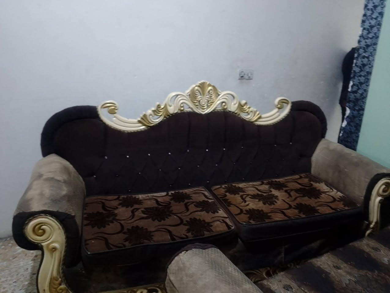 تخم كامل للبيع 5 قطع السعر على الخاص
***********
