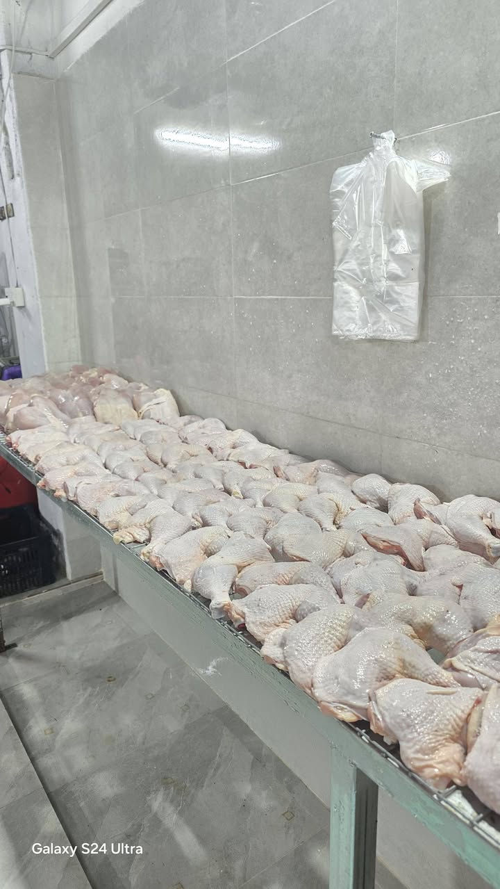 انشااللە لەدوای نوێژی عیشا دووکانمان کراوەیە هەتاکوو ٢ شەو لە خزمەتاناین کەیاندنمان هەیە بۆ ناو شاری کەلار
***********
2026/5/14
