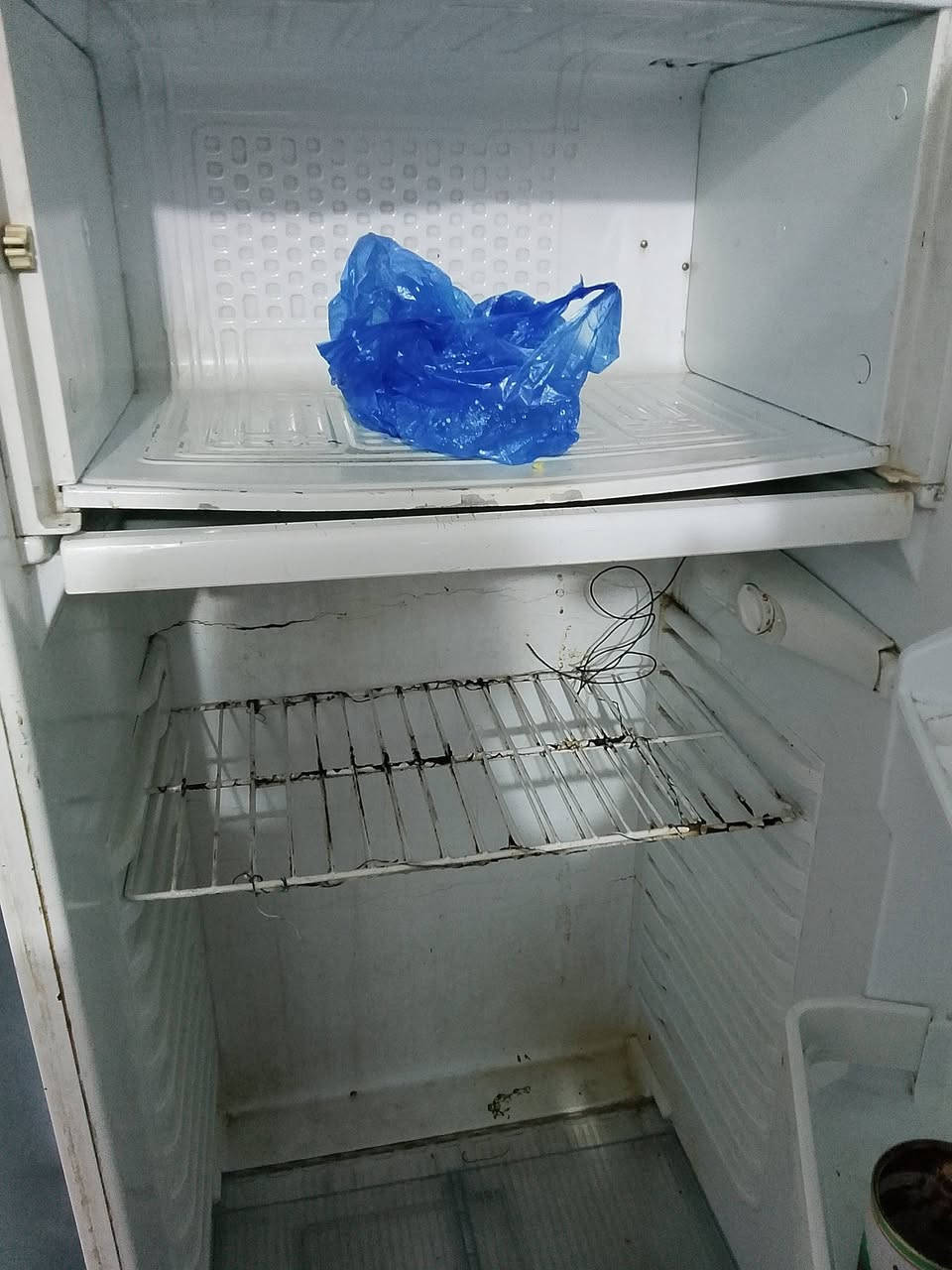 ثلاجة للبيع حجم وسط كريازي باب اول فول تجميد والله العظيم ثلاجة جنن بسعر 100الف مكاني كوفة شارع المعمل


**إذا كنت صاحب هذا الإعلان وتريد حذفه لأي سبب، رجاءا أرسل رسالة إلى الدعم الفني**