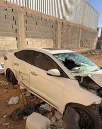 النترا • ٢٠١٧ • مكفول شاصي