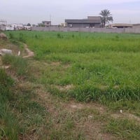 بسم الله الرحمن الرحيم  كاع للبيع كاع  دونم ونص  زراعي  على شارعين يعن...