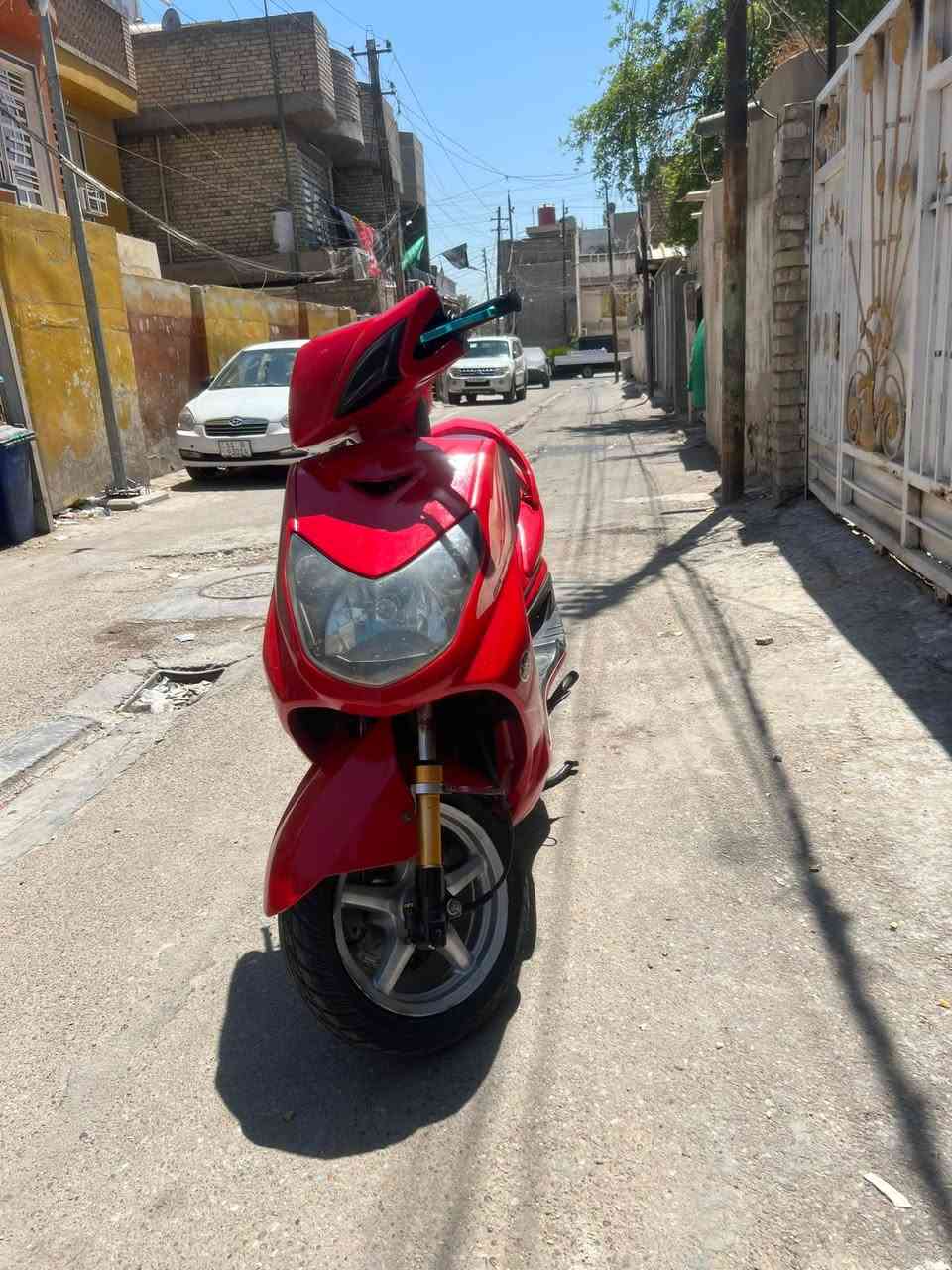 سلام عليكم سكنس فحل ٥٨ اي نقص ما بيهة صبغتة لين كفر جارد لبيع ومراوس مكان بغداد ***********
