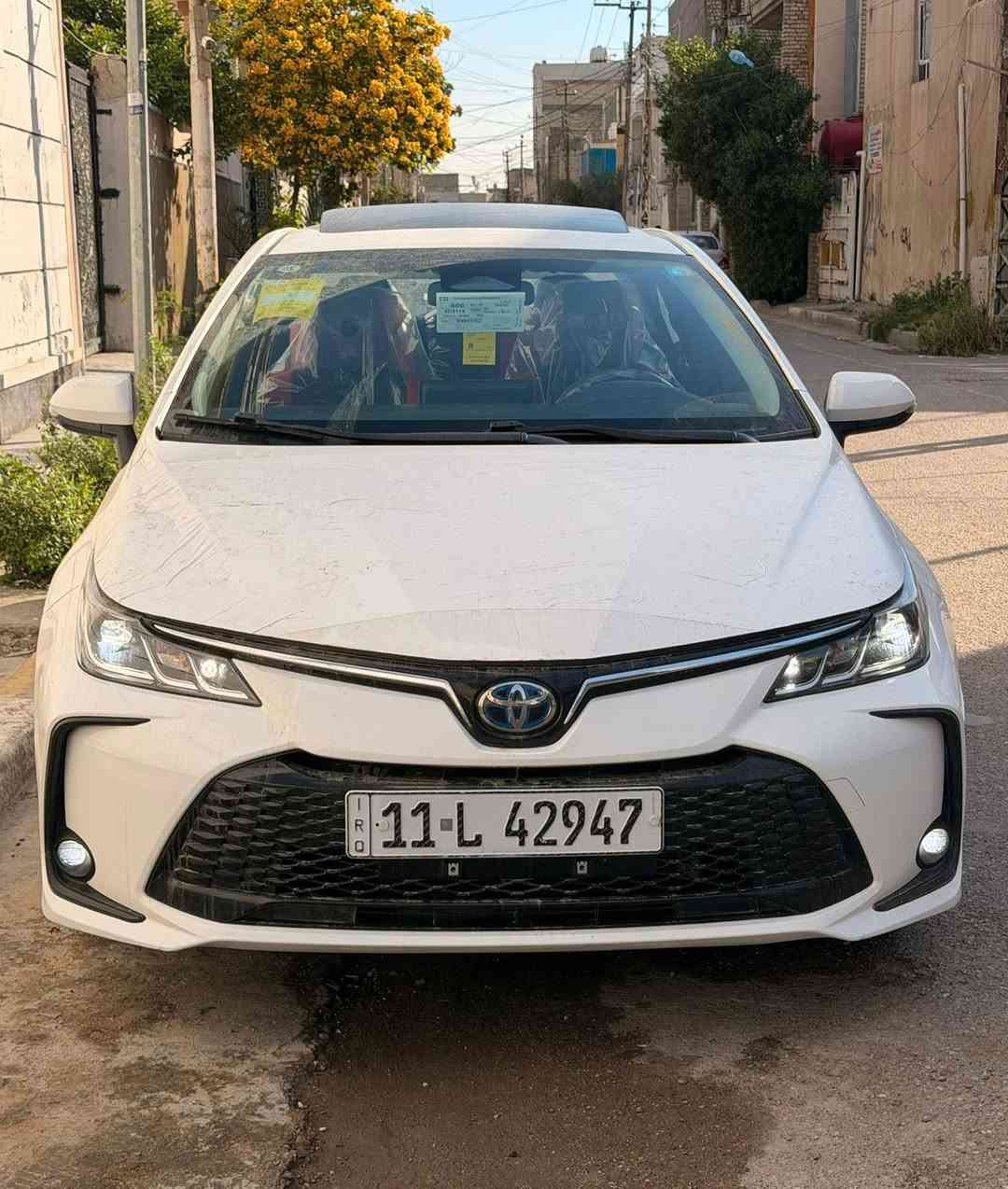 كورلا شكلٍ الخليج ماشية ٢٥٠٠ زيرو مكفولة رقم بغداد السعر ١٤٨ وبيها مجال


**إذا كنت صاحب هذا الإعلان وتريد حذفه لأي سبب، رجاءا أرسل رسالة إلى الدعم الفني**
