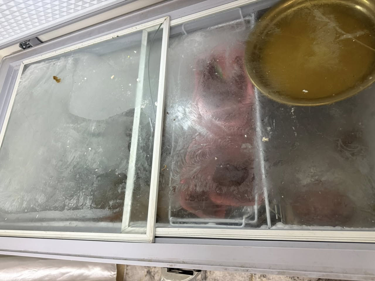 مجمده للبيع حجم كبير السعر ٥٥٠والسعر بي مجال


**إذا كنت صاحب هذا الإعلان وتريد حذفه لأي سبب، رجاءا أرسل رسالة إلى الدعم الفني**