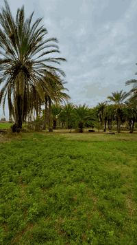 سلام عليكم
مستعدون لعمل كافه الأعمال المساحية رفع تسقيط  تثبيث حدود فرز بابرز الاجهزه المساحيه دفرينشل GPS وكذالك أعمال التسويه والطرق  بأعلى دقه ممكنه 
للاستفسار عن جميع الاعمال المساحية التواصل مع الصفحه او الاتصال على الارقام التالية:
***********
***********
