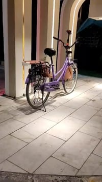 BD • ٢٠٢٤ • كربلاء طريق بغداد