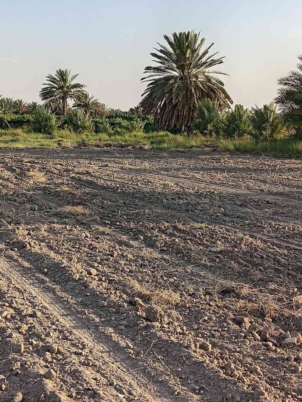 دونمين أرض للبيع
▪️ النوع: طابو صرف زراعي – سند 25
▪️ المعاملة: مداور، نقل الملكية باسمي خلال يوم واحد
▪️ الموقع: العلاك – نهاية شارع البوحموسة

🔹 المميزات:
تتوفر كافة الخدمات
ماء
كهرباء
مدارس قريبة
شارع مبلط
📹 جميع التفاصيل موضحة داخل الفيديو
📩 للاستفسار ومعرفة السعر:
مراسلة الصفحة أو الاتصال على الرقم التالي:
(***********)
