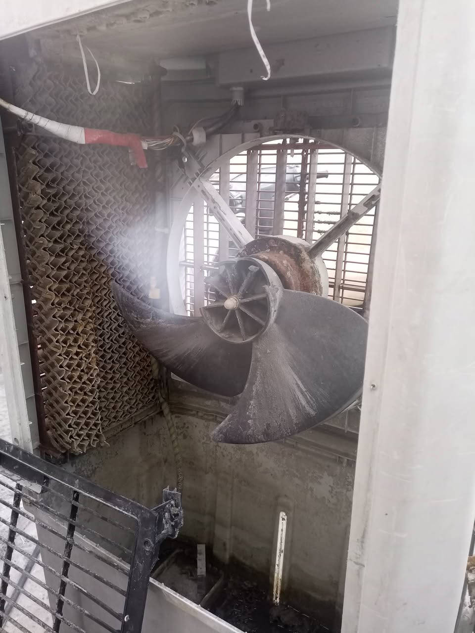 كونفيره شغاله هواهه بارد نقصها بس مروحه (بنكه)
وحلفه كارتونيه قيم باليرضي الله وأخذها بالعافيه
رقمي ***********
