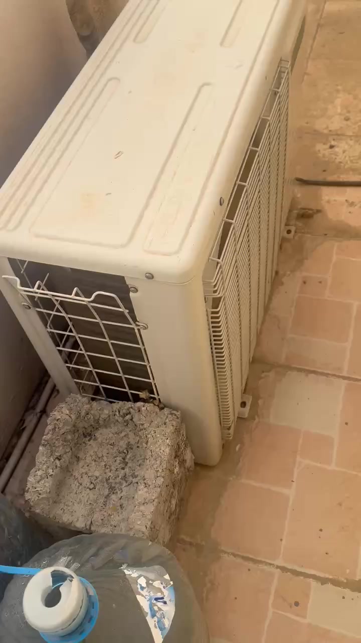 ئه م سپليته بوفروشتن دووته ن له هه ولير هه مووى ئيش ئه كه ت به شه رت 190معامله
سبلت للبيع اربيل كلتو شغال بشرط طنين 190بي مجال


**إذا كنت صاحب هذا الإعلان وتريد حذفه لأي سبب، رجاءا أرسل رسالة إلى الدعم الفني**