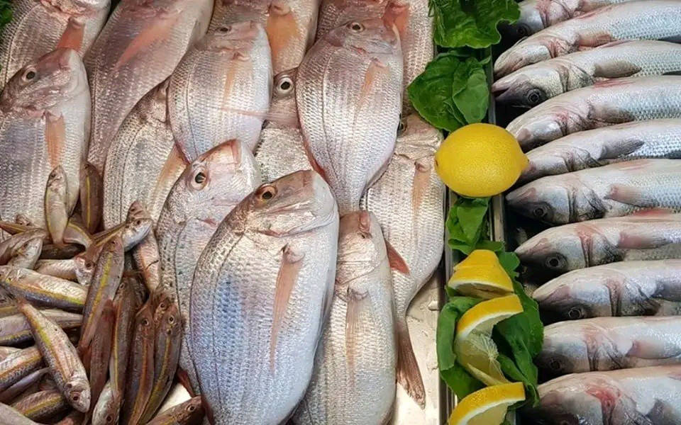 🌙✨ فطور رمضان بطعم غير ويانا ✨🌙
سمج طازج يومياً 🐟
نظافة وترتيب وطعم يخلي السفرة تلمع ✨🔥
إذا تريد فطور خفيف، صحي، ومشبع بنفس الوقت
اختاروا السمج وخلو لمّتكم أحلى بهالشهر الفضيل 🤍
للطلب والاستفسار يرجى التواصل معنا على الارقام التالية

نوصل طلبكم لباب المنزل 🛵

***********
***********
📍عنوان مطعمنا ـ بغداد ـ السيدية ـ الضباط بعد جامع الأقصى
رمضان كريم وكل عام وانتو بألف خير
