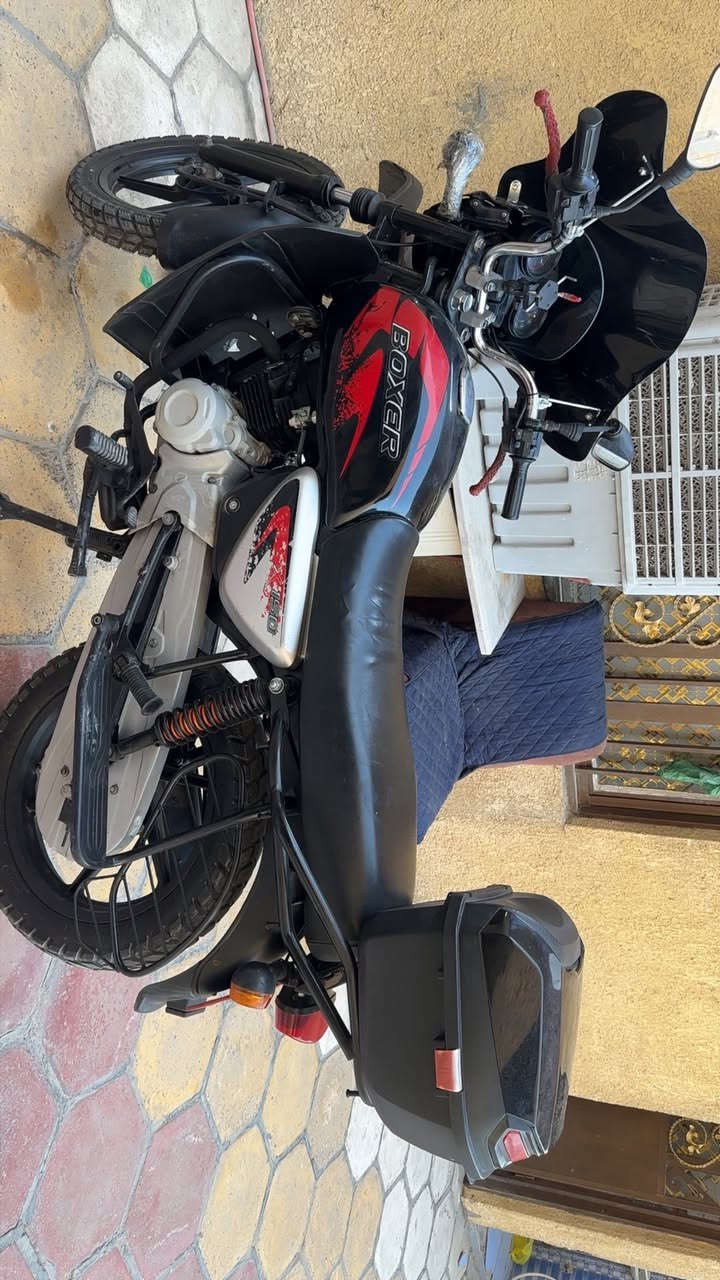 مرحباا اخوتي العزاز شونكم دراجه بوكسر مديل 2022 فول فول فول نضيفه مال موظف من بيت الدوام فقط دراجه نكره سلف وحلوه مثل ما موضحه يمكم رايدها ب 1750 وبيها مجال كلش كلش بسيط ***********
