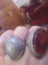 محابس • كبار حيل • بالصور أصغر