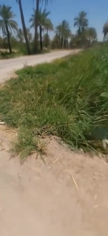 يالله السلام عليكم 6 دونم و600 متر سند25 مع 4 بيوت بناء نضيف ومرتب وكافت انواع الاشجار كامل خدمات مي كهرباء عل شارع العام الموقع كربلاء طويريج الاستفسار ***********

