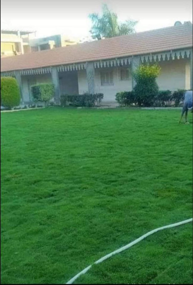 باسعار ثيل ديالى الطبيعي 🏡
أهلاً بكم في مجموعه مزارع ديالى لثيل الهندي الطبيعي 🌿🌱
 نقدم لكم افضل انوع الثيل الطبيعي عالي الجوده يتحمل كافه الضروف البيئية.🌦️🌞
دائم الخضرة🌿🌳 وباسعار تنافسيه وعروض مميزة ☘️❤️
#مستعدون لتجهيز وفرش الحدائق🏡 ودوائر الدولة🏡والمنازل🏡🏡
و تجهيز الملاعب🏟️ والمنتزهات بانسب الاسعار مع ضمان الجودة العالية في العمل👷👷

مع خدمة التوصيل خلال24ساعه🚛🚛  
الاسعار 💵💸 تختلف حسب الكمية 
للاستفسار الاتصال على : 
او التواصل مع الصفحه عن طريق ارسال رسالة على الوتساب او الاتصال📞‏***********
