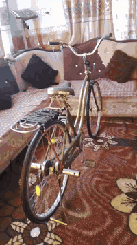 السلام عليكم باسكل للبيع عبد الحليم جاملغات موجودة مكاني حي الانتصار شارع 60 السعر65 وبي مجال حك جيتك ***********
