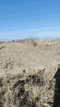 خدمات كامله كهرباء ماء مجاري   طابو سند 25  موقع بغداد بمنطقه الانتصار...