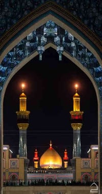 النجف الاشرف • زيارة الامام علي • نقل كوستر