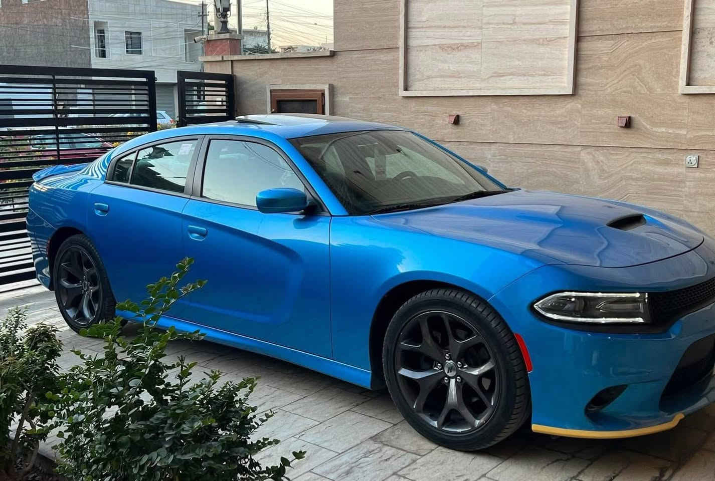 تحيه طيبه ✋

جارجر 2019 جيتي GT فول ١/١  (وكالة هارلم)
خليجي شركة هارلم 
لون بحري داخل احمر 
ماشيه  ٣٩  استعمال نضيف  كلش بعدها بحالة الوكاله    
كفاله عامه حتى الدعاميات مكانين كرت بسيطات بدون
كير محرك مكفول بشرط 
رقم بغداد باسمي هزه جديده سنويه جديد تحويل ثاني يوم 

فول موصفات 1/1   نسخة GT 
(فتحه ،بصمه ،جلد ،كراسي كهرباء ،محرك ٣٦٠٠، مقاعد تدفئه تبريد ،شاشه كبيره ،تحكم كامل ،أوامر صوتيه ،كت بلادي،تبريد خلفي ،سماعات alpine )

‎العده مال شركه والأرضيات والكتلوكات كلها ماستخدمه ابد بحالة الوكاله وتخم تاير جديد 

السعر 287  ورقه 
مكاني بغداد📍

للاتصال 
***********
