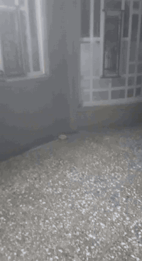 حي فلسطين • ٤٢٠م • سقف صب كونكريت