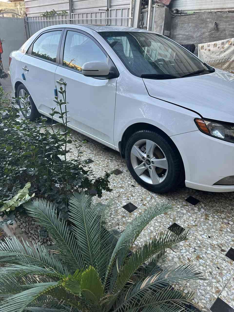 اسلام عليكم
للبيع سيراتو موديل 13 خليجي 
فول مواصفات 
*فتة سقف
*كشانت جلد 
*شفتات استيرن 
بصمة تشغيل
*حساس خلفي 
*لد امامي
*مكينه 1600 دوش 
*گير 6 نمر 
السياره عليه ادامه كامله من فيتبم وبلك ونوزل 
صدر خلفي +امامي جديد 
تخم تاير جديد
تبريد ثلج 
مكان السياره بغداد 
لمعرفت السعر 103
***********
