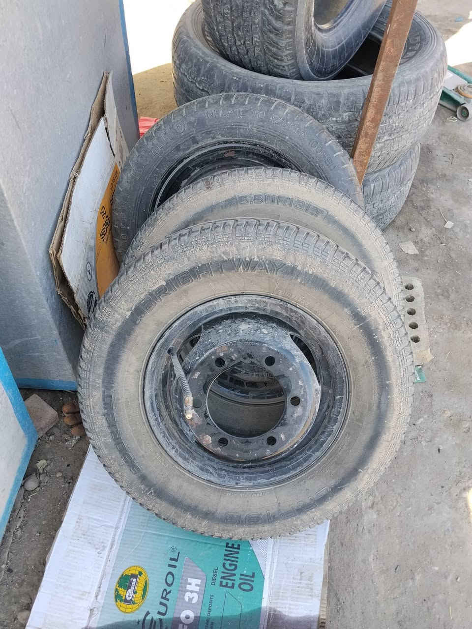 سلام عليكم تخم دبل مال كية فحل
نضافتهن كدامكم للبيع تاير ويل المكان بغداد شعلة 
رقم بي واتساب ***********
