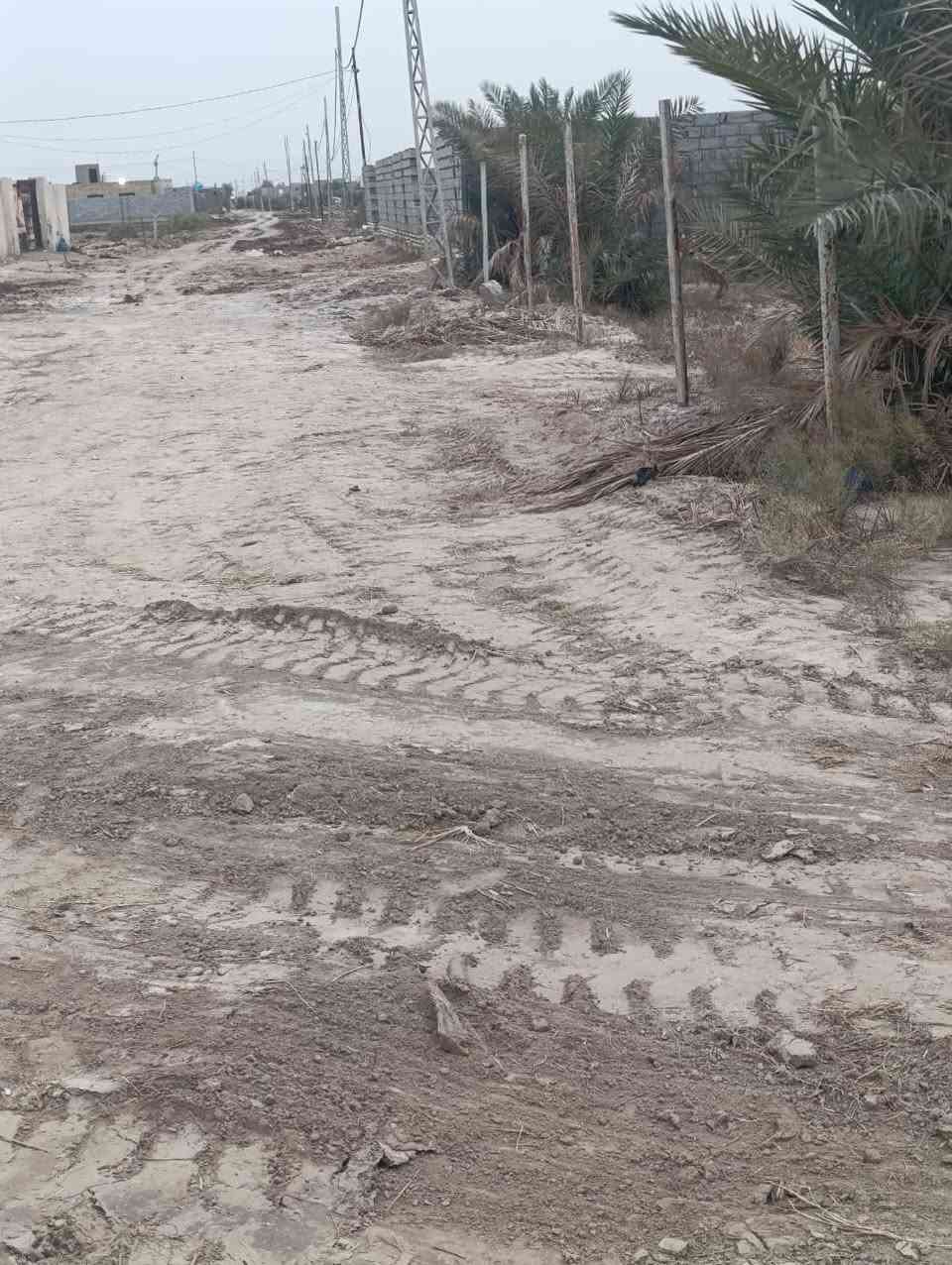 السلام عليكم متاح دونم اله ميه. متوفر ماي وكهربا. وبيهه. نخل انواع.  المكان قرب سيد مجيد الموسوي قضاء السدير ***********
