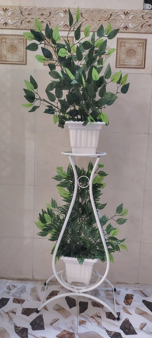 أشجار خضار وسنادين ورد بأشكال جميله وقياسات مختلفه جمله ومفرد للطلب راسل البيج او الاتصال ب الرقم *********** واتساب نفس الرقم
