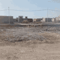 الزيتون • عرصة ٢٠٠م • سند ٢٥