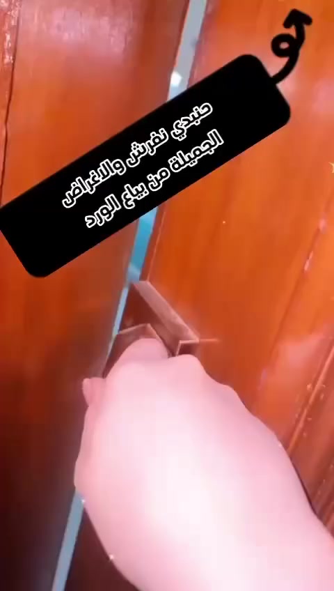 نقد وأقساط 
بسماية مجاور المستشفى اللبناني


**إذا كنت صاحب هذا الإعلان وتريد حذفه لأي سبب، رجاءا أرسل رسالة إلى الدعم الفني**