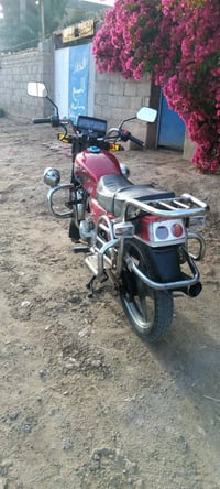 فيوم • ٢٠١٣ • اوراق كاملة