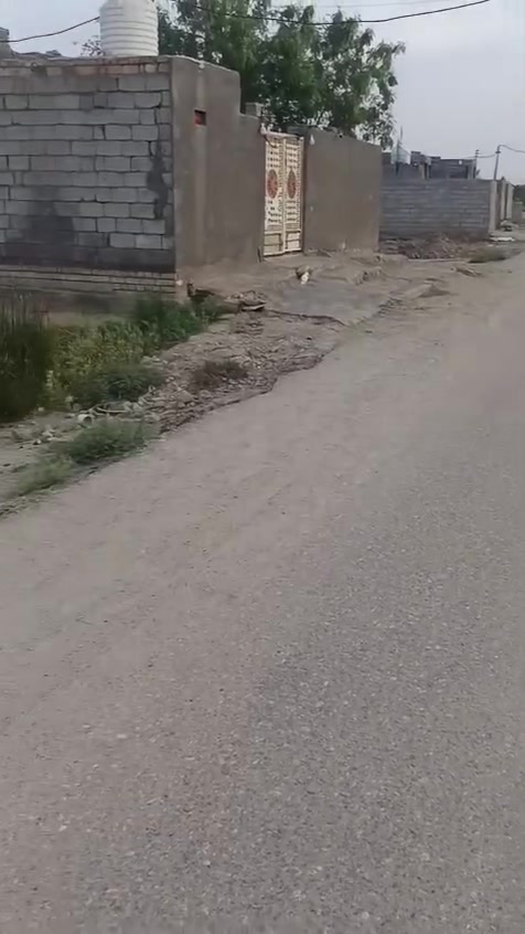 دونم للبيع قريه سيد جاسم متوفره كافه الخدمات للاستفسار الاتصال ***********
