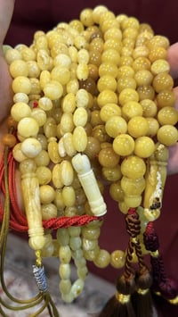 شلعه دولارين ونص جوه سعرهن تصفيه 07742060555