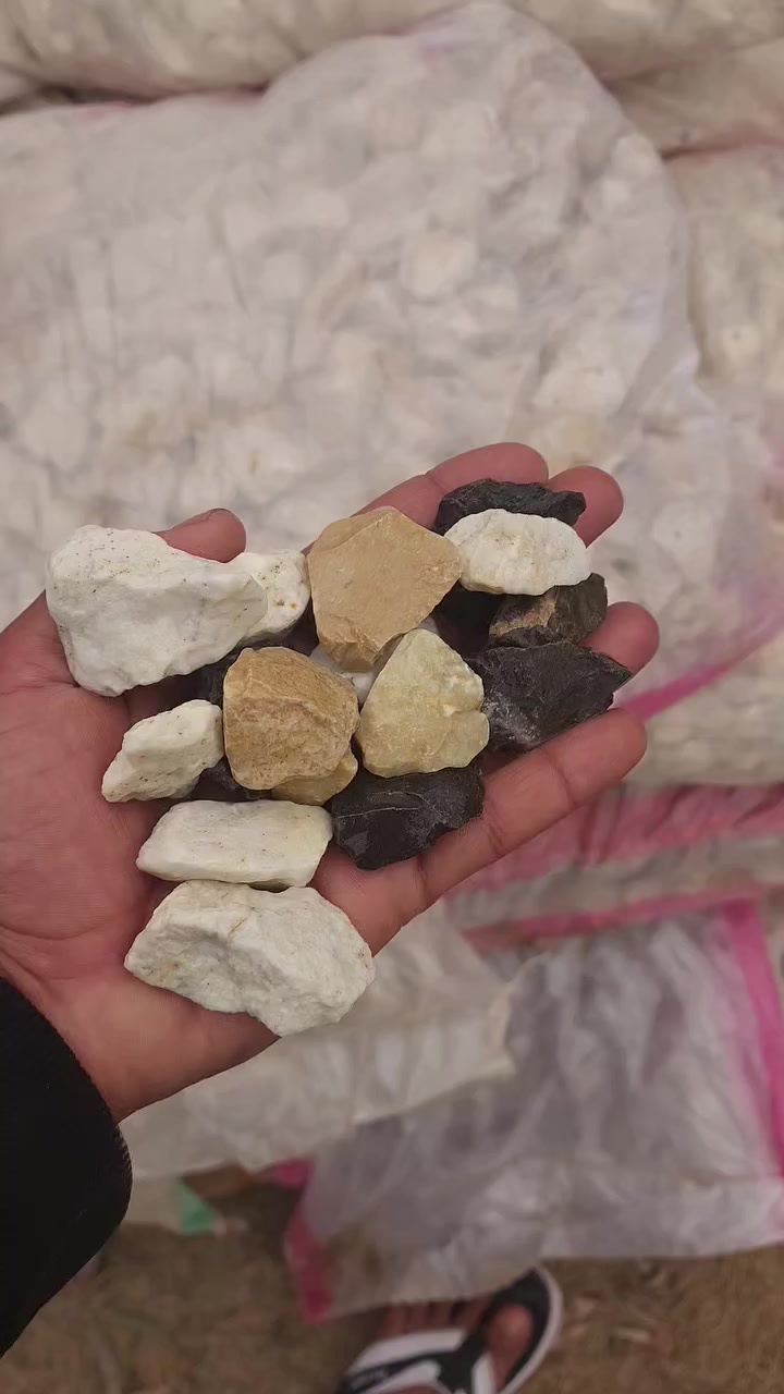 عرض بلاش لكم
حصو حدائق 

وزن الكيس :٢٥ كيلو 

سعر الكيس : ٥ الف دينار 

العنوان : الديوانيه -قضاء السنيه -قرب مركز الشرطه او مقابيل المخيم. الكشفي 🚩🚏

خدمه التوصيل موجوده داخل الديوانيه 🚚

للاتصال او الاستفسار او ع واتساب 🔍

ع ***********
