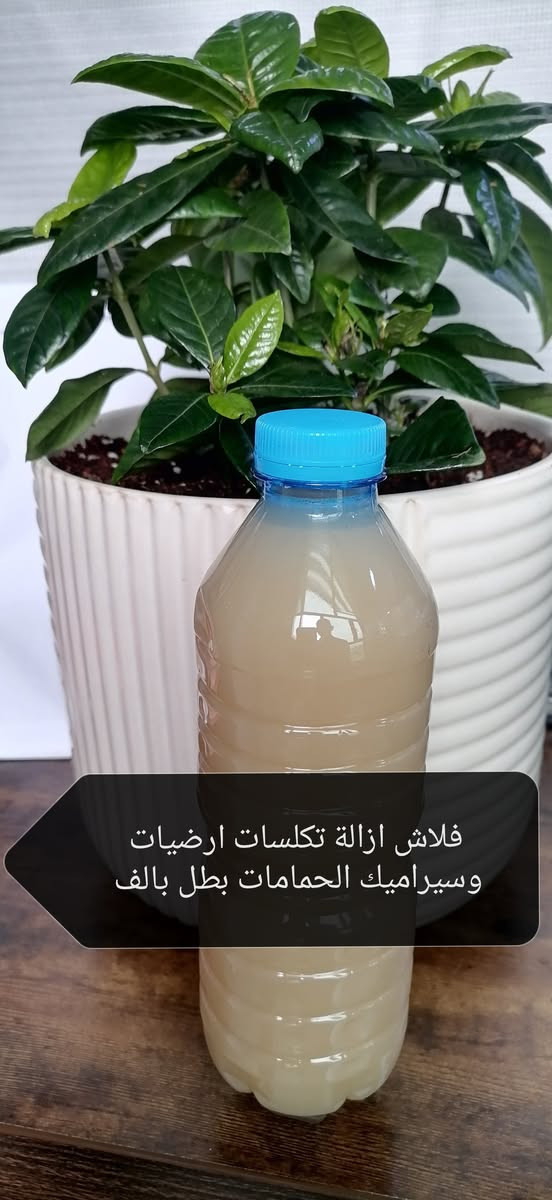 حبيباتي الغاليات اليوم جهزنا منتجاتنا الاصلية والمركزة والجودة العالية رغوة وتنظيف وعطر ولطيف على اليدين
#سائل غسيل الملابس عطر طوري #5 #لتر ب5 الاف
#سائل غسيل الصحون عطر الخوخ و عطر العلكة 3 #لتر ب3 الف
#معطر ارضيات وملابس بعطر الربيع البطل #بالف 
#مزيل دهون المطابخ بطل #بالف
#مزيل تكلسات ارضيات وسيراميك الحمامات بطل #بالف
#صابونة الكلسرين الطبية للبشرة الحساسة والدهنية القطعة ب3 #الف
#كوستك فتح (المجاري) اكرمك الله الكيلو ب4 #الف نص كيلو ب2
#التوصيل داخل تكريت والقادسية #الف دينار بس


**إذا كنت صاحب هذا الإعلان وتريد حذفه لأي سبب، رجاءا أرسل رسالة إلى الدعم الفني**