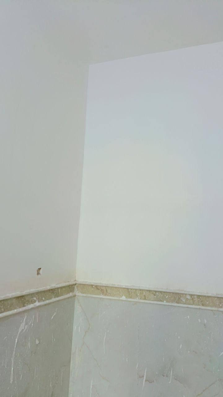 خلفه لبخ وبياظ وجص متفرغ حاليا شغل درجة أولى الاتصال ***********
