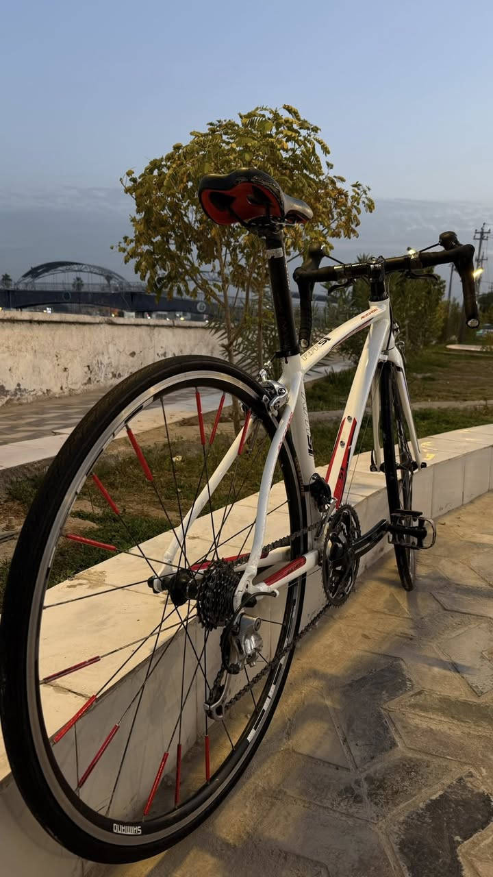 السلام عليكم 
-رود بايك ماركة anchor تصميم انسيابي 
-فريم ناصي معدن المنيوم ماشة كاربون 
•  سيت تياكرا 9-2  العقرب والنقال شيمانو 105
-بريكات شيمانو
-صينية FSA
-السعر 260


**إذا كنت صاحب هذا الإعلان وتريد حذفه لأي سبب، رجاءا أرسل رسالة إلى الدعم الفني**