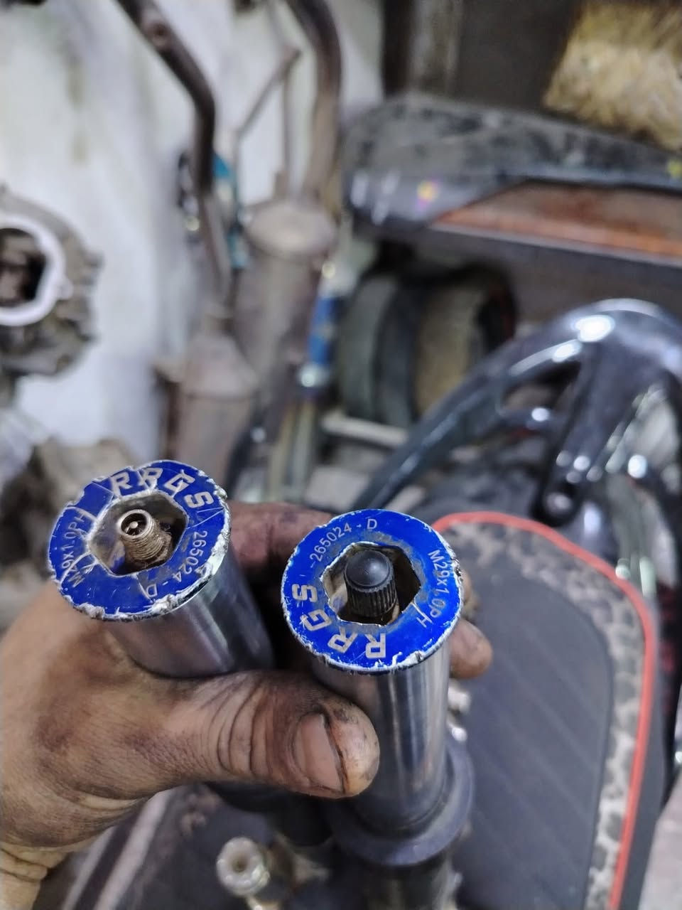 صدر سكنس جبلي rgs
بغداد غزاليه 
***********
