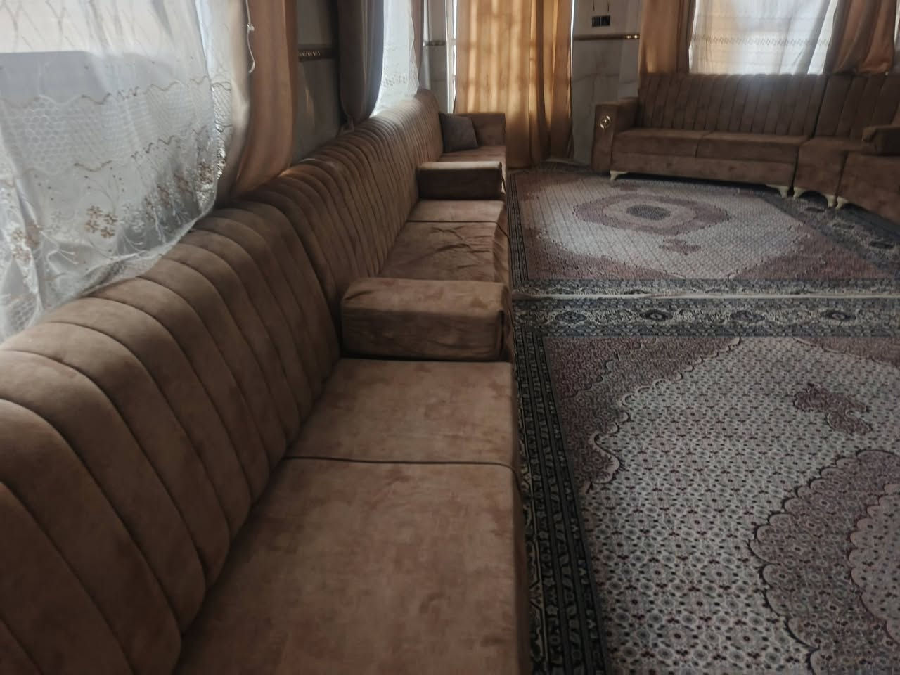 تخم تسكام درجه اولى للبيع ***********
