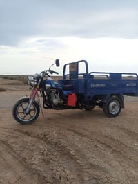 ستوته • موديل ٢٣ • اوراق اصولية