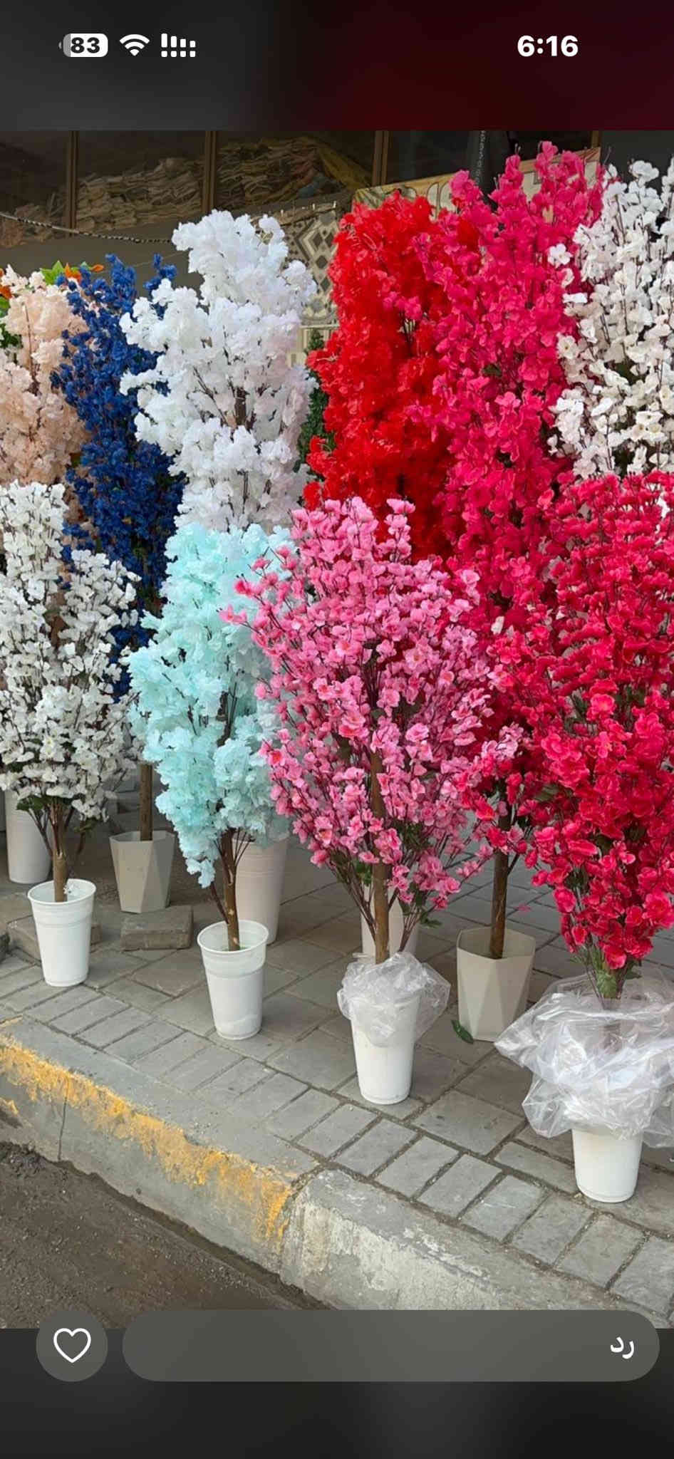 محمد ورد بغداد شورجه عماره الضمان ***********
